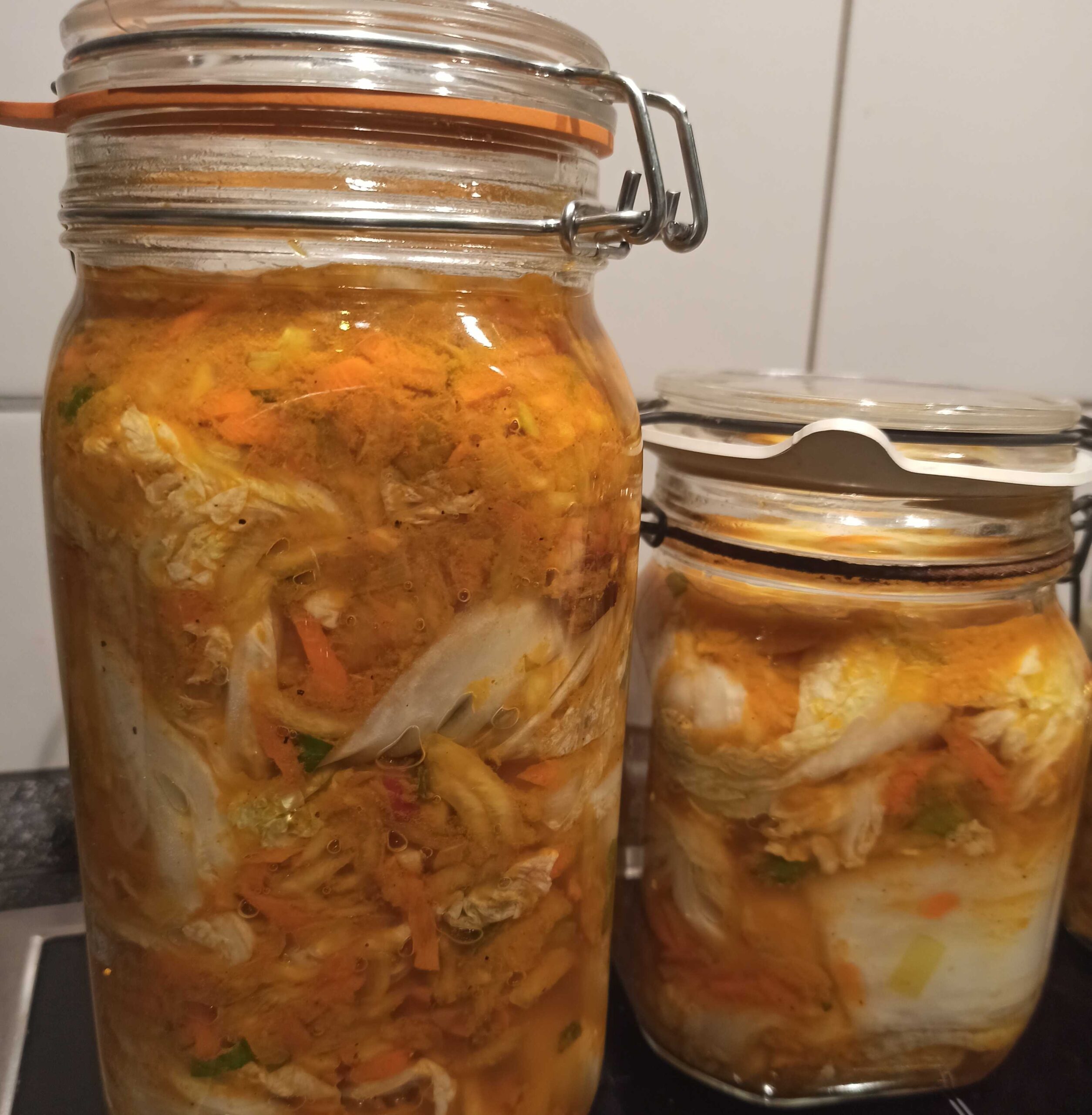 Lerne Fermentieren 4 Wochen - 4 Fermente Du kannst alle deine Fragen stellen